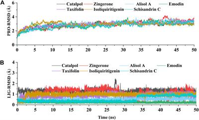 Deciphering the active constituents of Dabushen decoction of ameliorating osteoarthritis via PPARγ preservation by targeting DNMT1